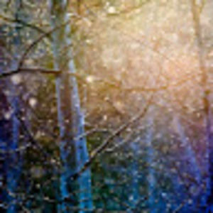 Meet your Posher, Stella